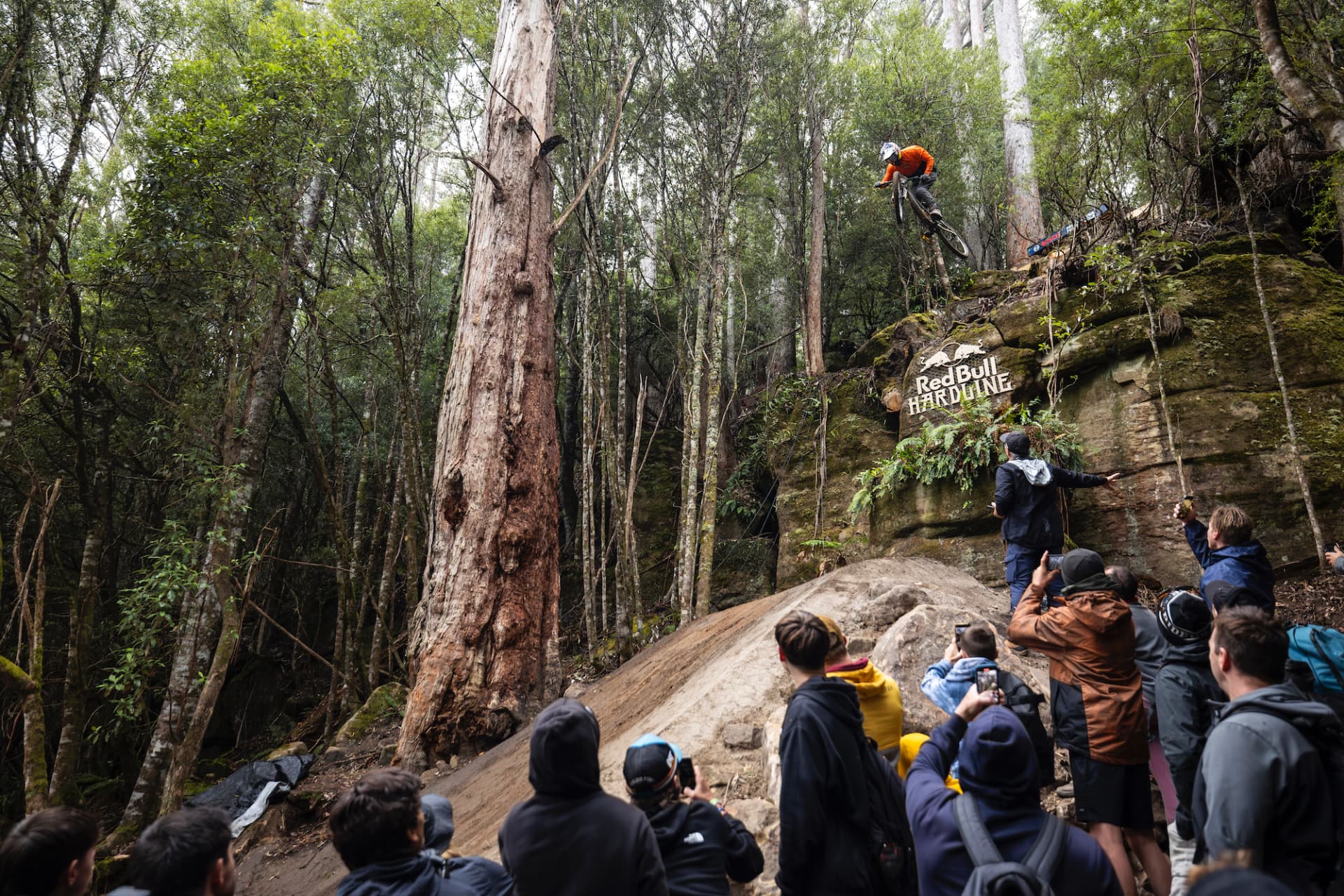 Rider dropping into a forest rock drop with spectators watching